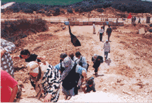 الى الارض... برغم الصعاب