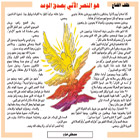 هو النصر الآتي بصدق الوعد