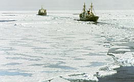 بدء ذوبان الجليد في منطقة القطب الشمالي