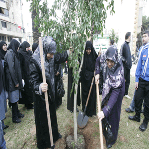 الضاحية الجنوبية لبيروت تكتسي لونها الأخضر الجديد