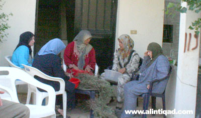 عيد المقاومة والتحرير في ذكراه التاسعة.. صور من الجنوب