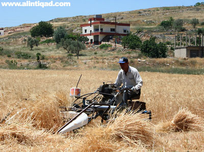 عيد المقاومة والتحرير في ذكراه التاسعة.. صور من الجنوب