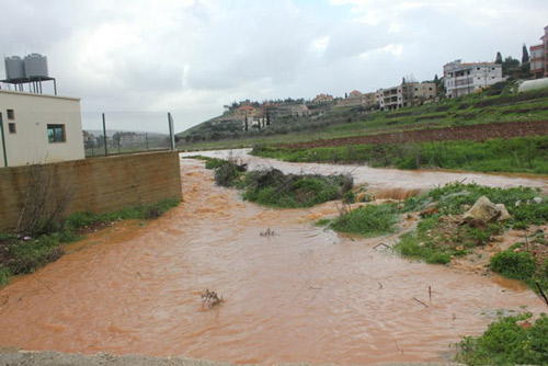 النبطية