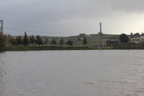 النبطية