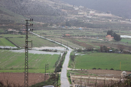 النبطية