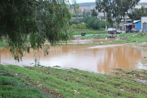 النبطية