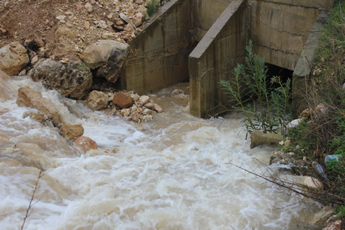 النبطية