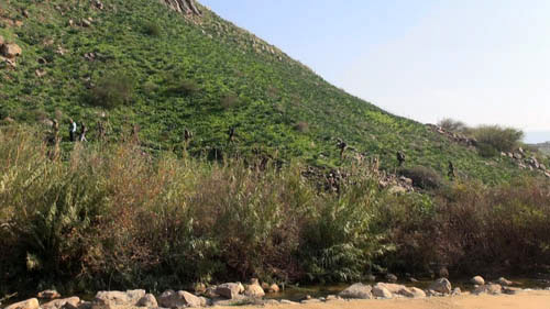 توغل صهيوني عسكري بدعم من دبابات الميركافا