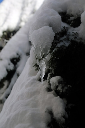أجمل صور رسمها الثلج في جبل لبنان