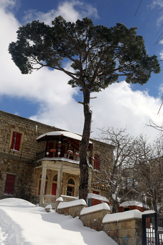 أجمل صور رسمها الثلج في جبل لبنان