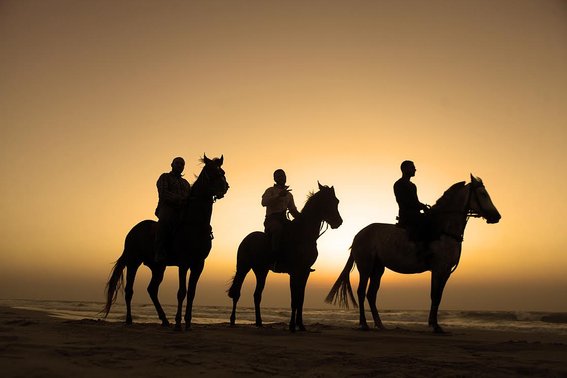 رياضة ركوب الخيل في غزة