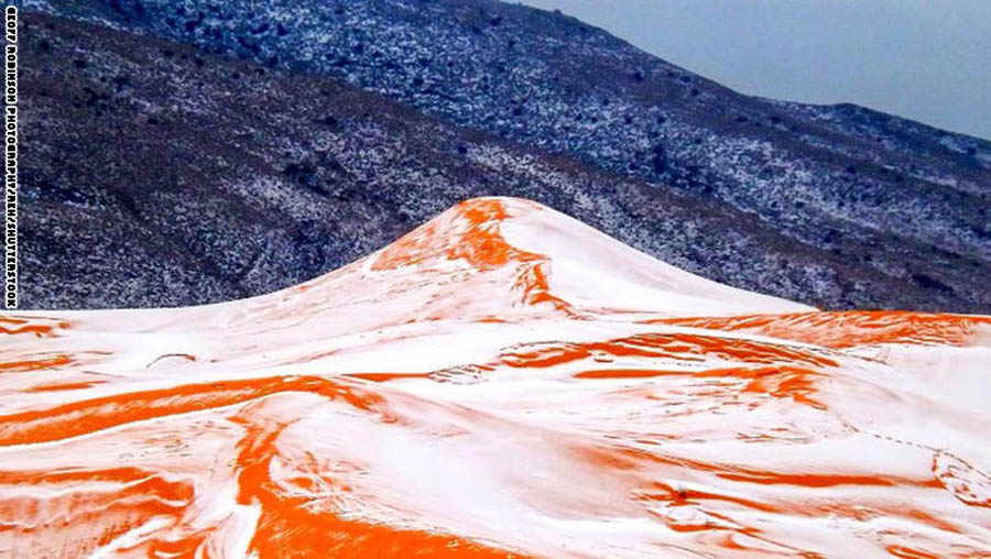 ثلوج على رمال وفي الجزائر لأول مرة منذ 37 عاماً