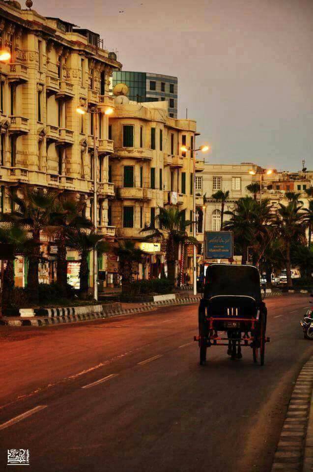 الاسكندريه في مصر