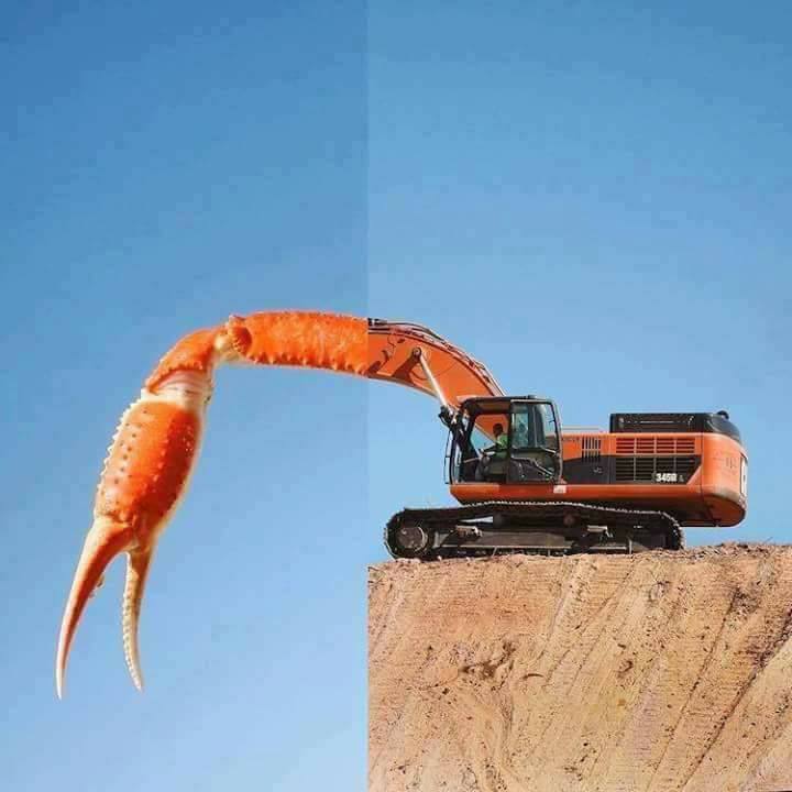 دمج صورتين فى صورة ابداعية