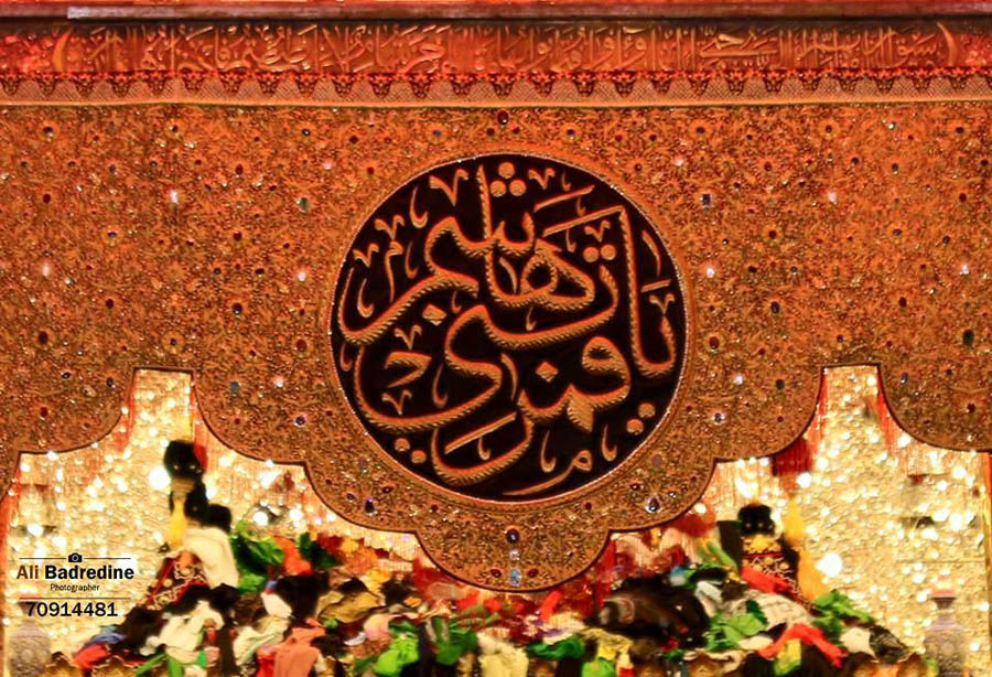 صور مميزة التقطت في زيارة الاربعين - (21-11-2016)