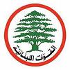 موقع" القوّات" الإلكتروني يثير النعرات المذهبية