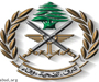 الجيش اللبناني: الكلام عن مخيم البداوي من نسج خيال كاتبيه وناشريه في وسائل الإعلام