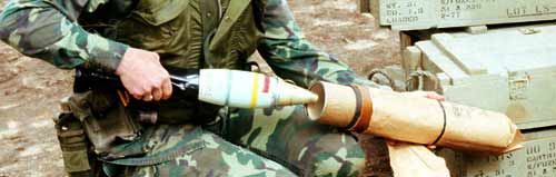 "قناديل بحر" حارقة تغرق القطاع بالابيض نهاراً وبالاصفر ليلاً
