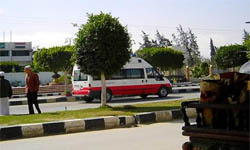 اقتحام مستشفى العريش العام من قبل ضباط أمريكيين