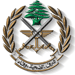 الجيش اللبناني: الخبير العسكري فكك 4 صواريخ معدة للتفجير في منزل في حولا 