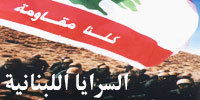 السرايا اللبنانية لمقاومة الاحتلال الاسرائيلي : التركيبة الاجتماعية &ndash; السياسية وآفاق الدور
