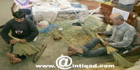 خاص "الانتقاد.نت: أنشطة في "أرضي 2009"