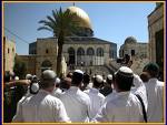 حين لا تكون الحرب نمضي في توقعها