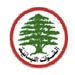 "القوّات" تتجنّب دفع الرسم المالي على شكواها: القضاء يستمع اليوم إلى إفادة ميشال سماحة