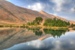  نواطير ام ميليشيات ؟؟؟
