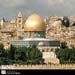 رابطة البرلمانيين الدوليين لنصرة فلسطين": المقاومة هي الطريق الوحيد لاسترجاع الحق العربي السليب