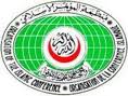 منظمة المؤتمر الإسلامي: رحيل السيد فضل الله خسارة للأمة الإسلامية 