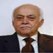 ميرزا: لجنة التحقيق ملزمة متابعة قرائن السيد نصرالله ونجمع المعلومات عن الجد
