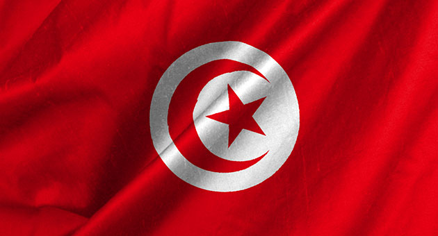 تأهل تونس الى نهائيات كأس امم افريقيا 2015