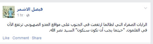 أشرف الناس يحيّون أبطال المقاومة على طريقتهم في العالم الافتراضي