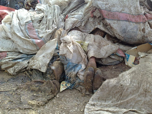 العثور على كميات من اللحم الفاسد عند مجرى نهر البارد في الشمال وبين بلدتي المروانية والنجارية قي قضاء الزهراني