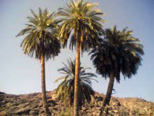 هرمز: مضيقٌ بين النخيل والموج والسفن