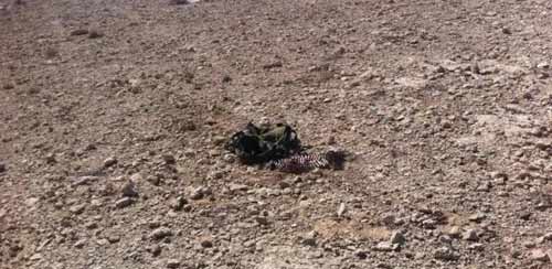 مقتل جندي إسرائيلي في عملية على حدود مصر رغم الاجراءات الأمنية المكثفة في سيناء