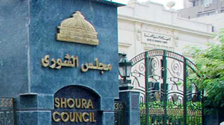 مصر: إعلان النتائج الرسمية للإستفتاء على الدستور اليوم والمعارضة تؤكد مواصلة العمل لاسقاطه