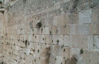 "مؤسسة الأقصى": حائط البراق حق خالص للمسلمين وحدهم