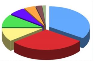 إستطلاع إسرائيلي: "حدود قابلة للدفاع" تحتل الأولوية للناخبين 