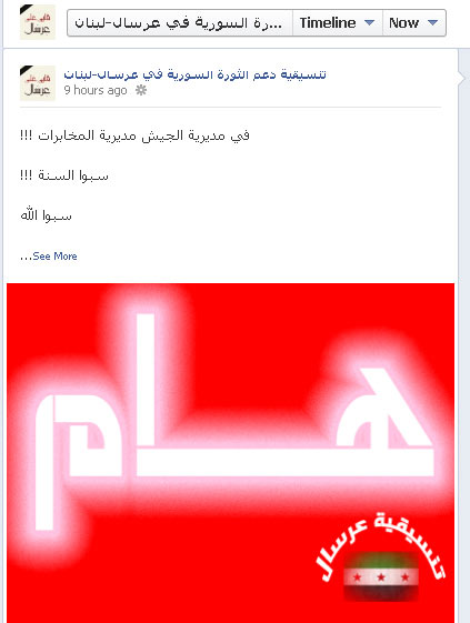 الفايسبوك والتحريض على الجيش اللبناني