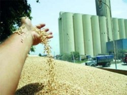 أمين فرع البعث في حلب لـ"العهد": ميليشيا "الجيش الحر" تسرق صوامع الحبوب
