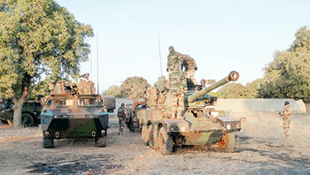  مالي والاستثمار القطري في الجهاديين