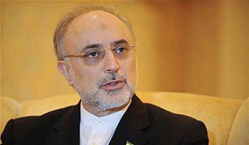 صالحي: موافقة المعارضة على الحوار مع النظام خطوة أولى 