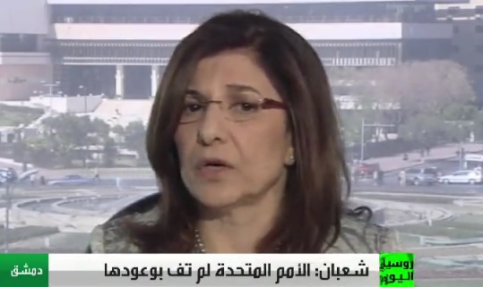 دمشق: الأمم المتحدة لم تف بوعودها بشأن التحقيق 