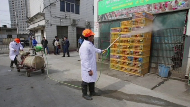 ضربة قاسية لقطاع الطيور والدواجن في الصين