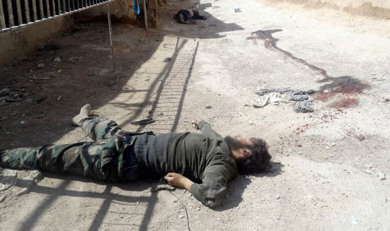 مقتل مسؤول الإمداد والتسليح للمجموعات المسلحة في ريف القصير واعتقال مسلحين في ريف تلكلخ 