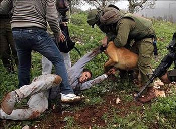 الاحتلال الصهيوني وانتهاك حقوق الاطفال الفلسطينيين