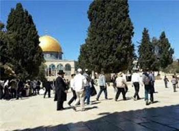 مستوطنون يقتحمون المسجد الأقصى في ذكرى النكبة