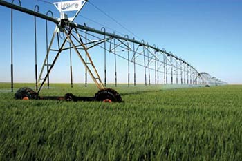 الهندسة الجينية، الاصطفاء الجيني إيديولوجية الأغنياء